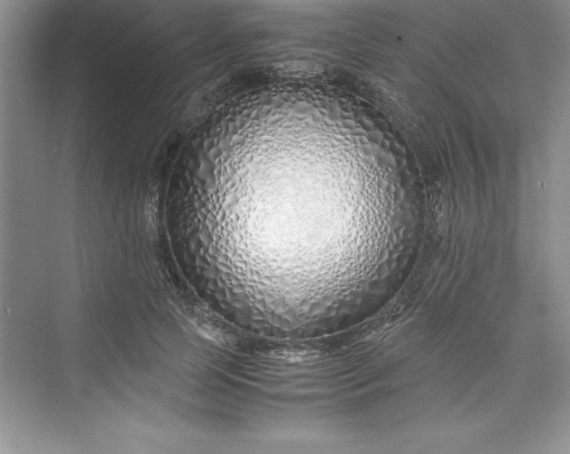 X0000075410745200609251044