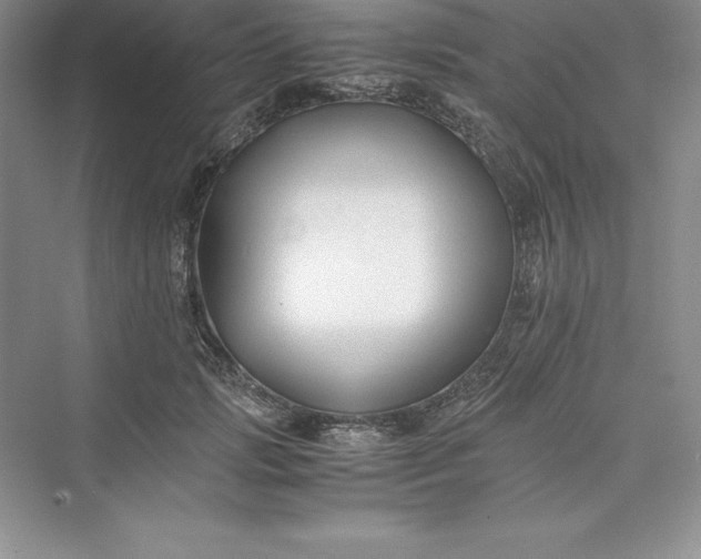 X0000075410749200609251044