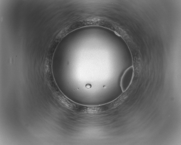 X0000075410758200609251044