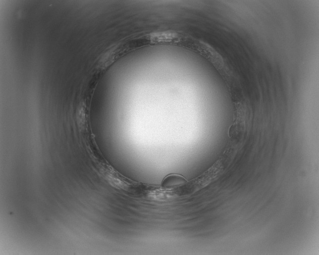 X0000075410761200609251044