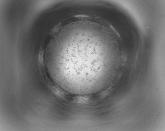 X0000075410765200609251044