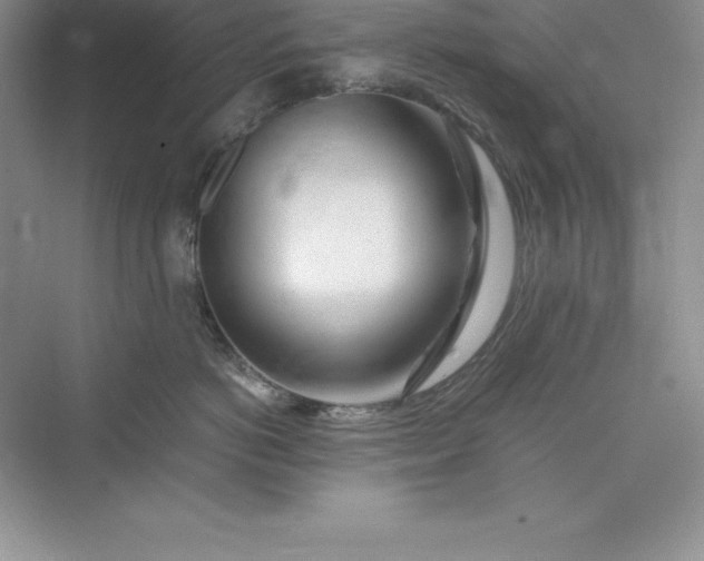 X0000075410766200609251044