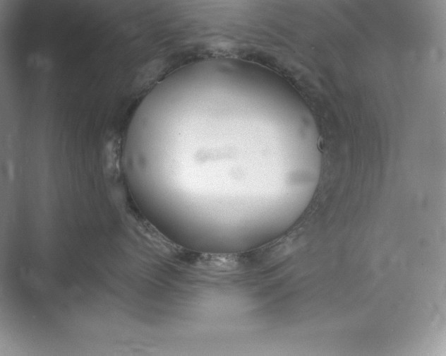 X0000075410768200609251044