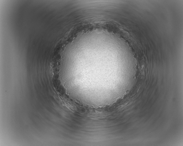 X0000075410772200609251043
