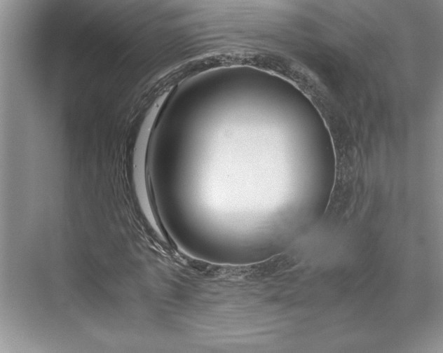 X0000075410773200609251043