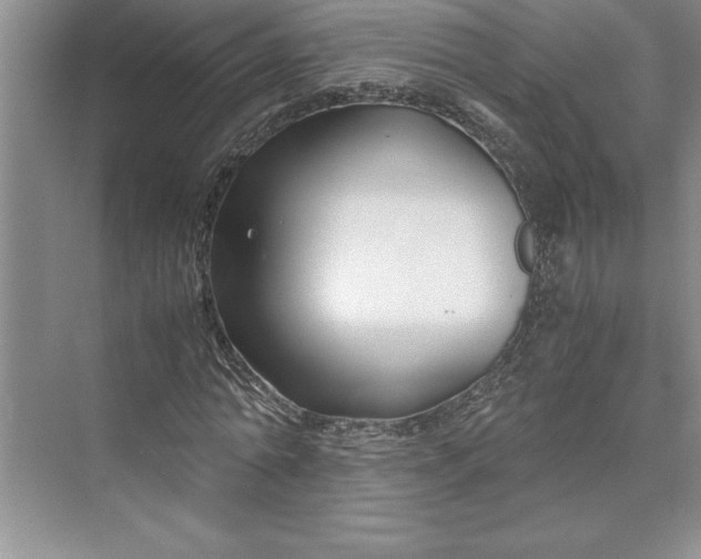 X0000075410774200609251043