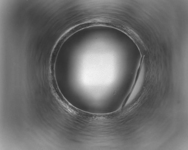 X0000075410784200609251043