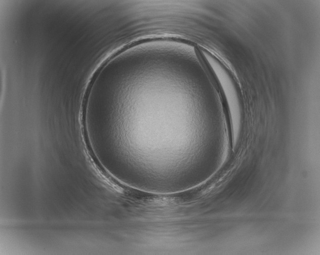 X0000075410797200609251043