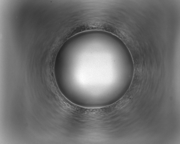X0000075410817200609251042