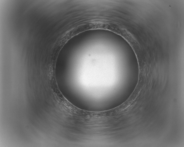 X0000075410821200609251042