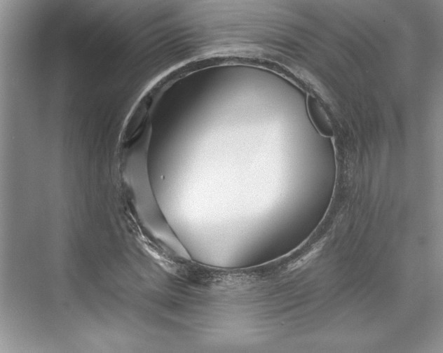 X0000075410830200609251042