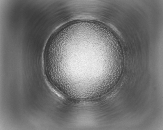 X0000075410840200609251042