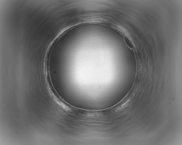 X0000075410843200609251042