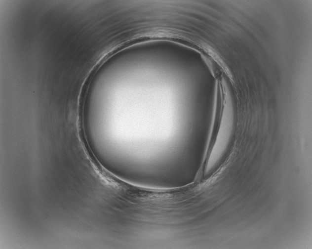 X0000075410845200609251042