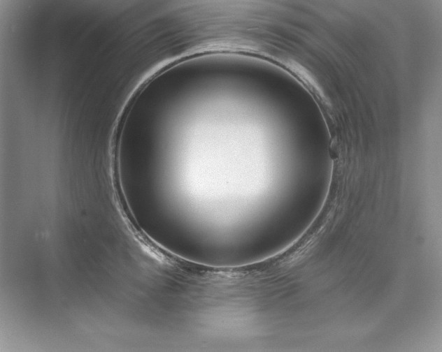 X0000075410854200609251042