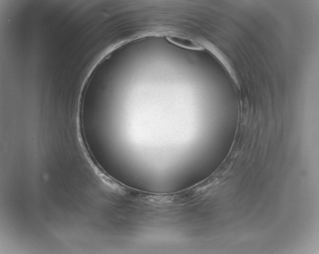 X0000075410861200609251043