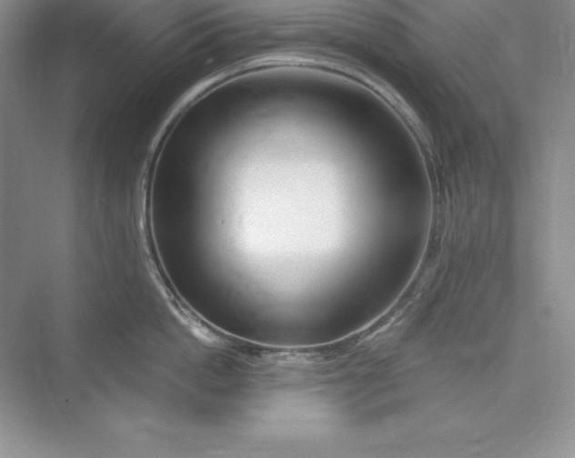X0000075410862200609251043