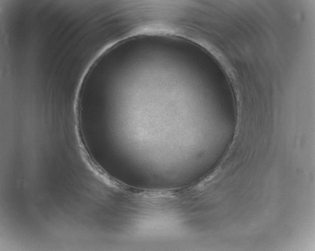 X0000075410864200609251043