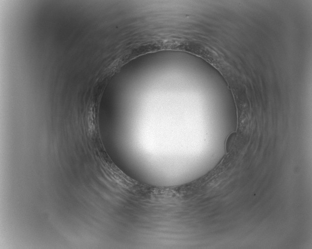 X0000075410866200609251042
