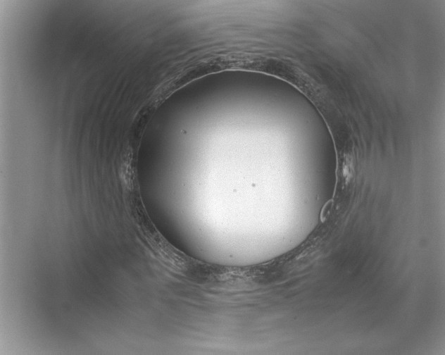 X0000075410867200609251042