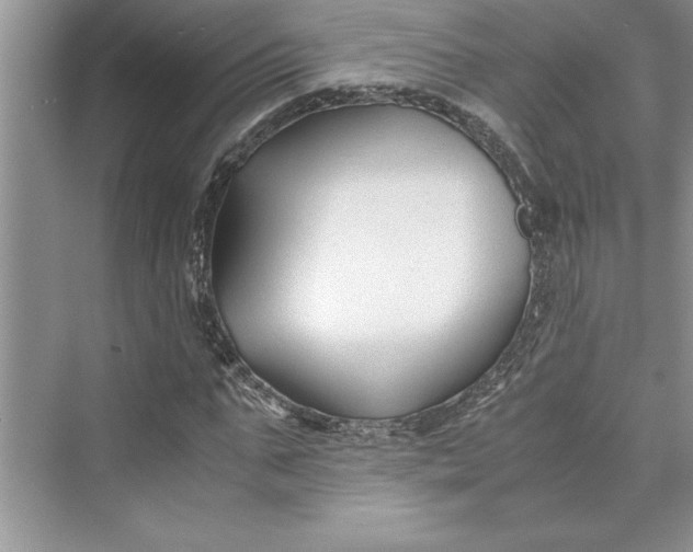 X0000075410871200609251042