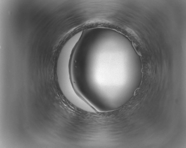 X0000075410872200609251042