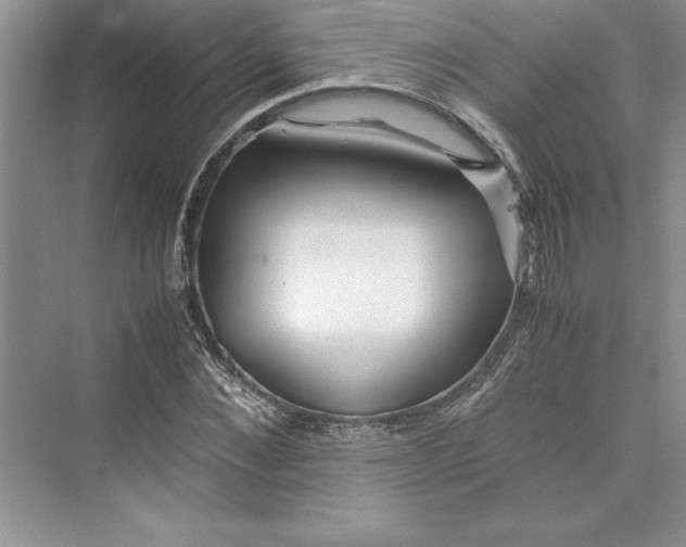 X0000075410876200609251042