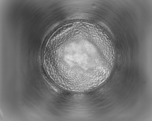 X0000075410882200609251041