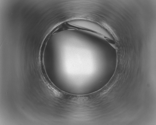 X0000075410884200609251041