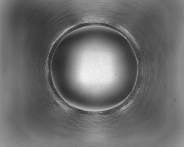 X0000075410885200609251041