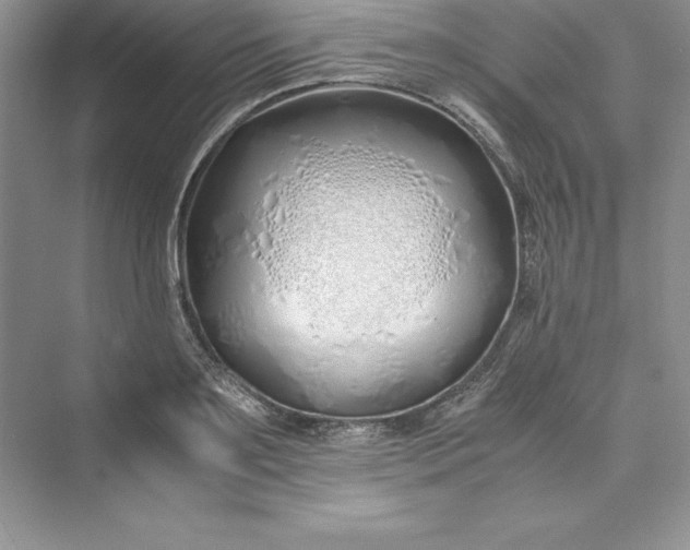 X0000075410891200609251041