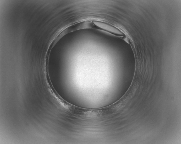 X0000075410898200609251041