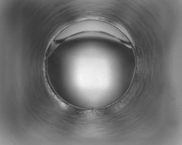 X0000075410906200609251041
