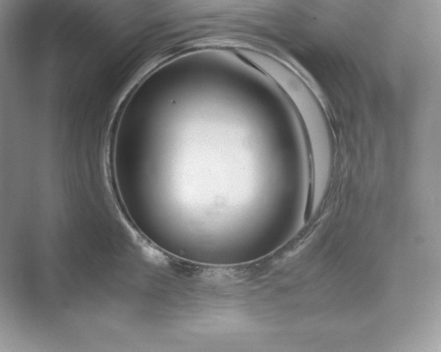 X0000075410909200609251041