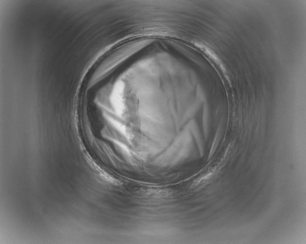 X0000075410941200609251041