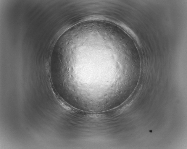X0000075410953200609251041