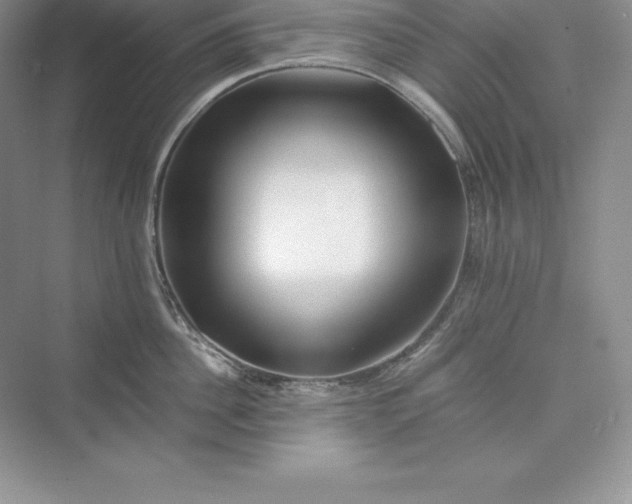 X0000075410956200609251041