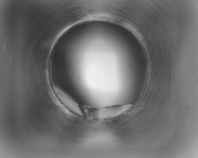 X0000075410960200609251041