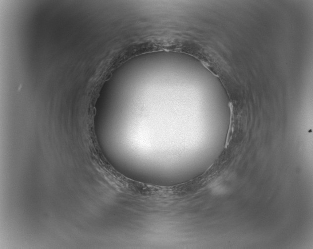 X0000075410961200609251040
