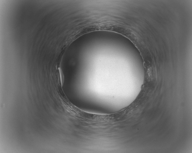 X0000075410963200609251040