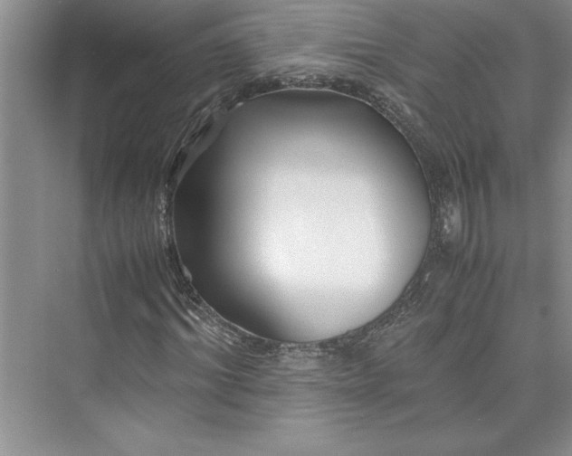 X0000075410964200609251040