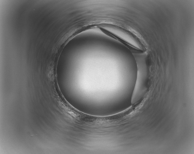 X0000075410977200609251040