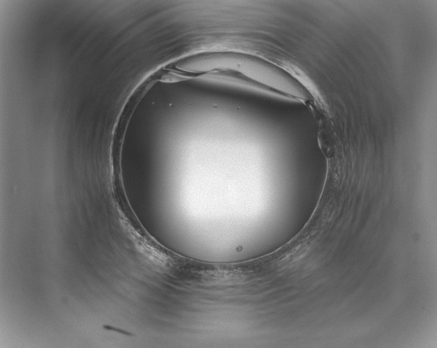 X0000075410980200609251040