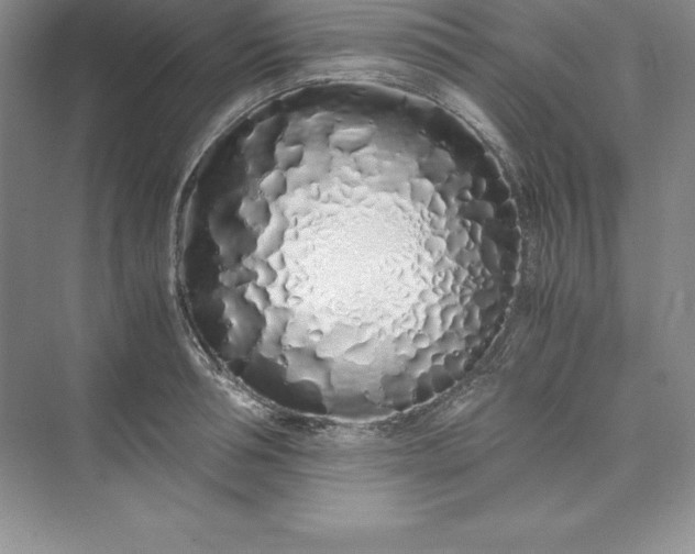 X0000075410994200609251040
