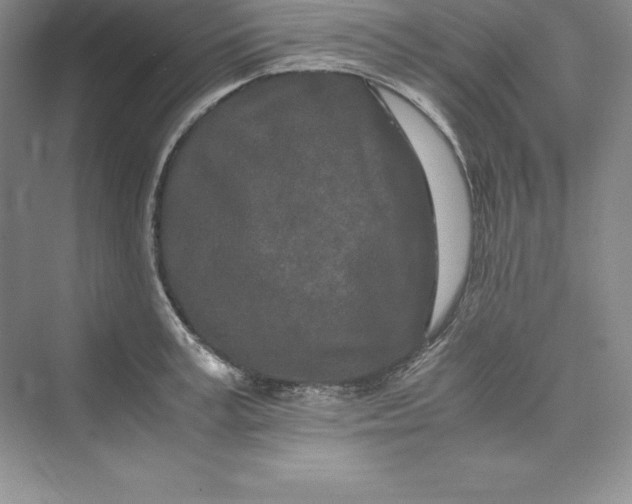 X0000075410995200609251040