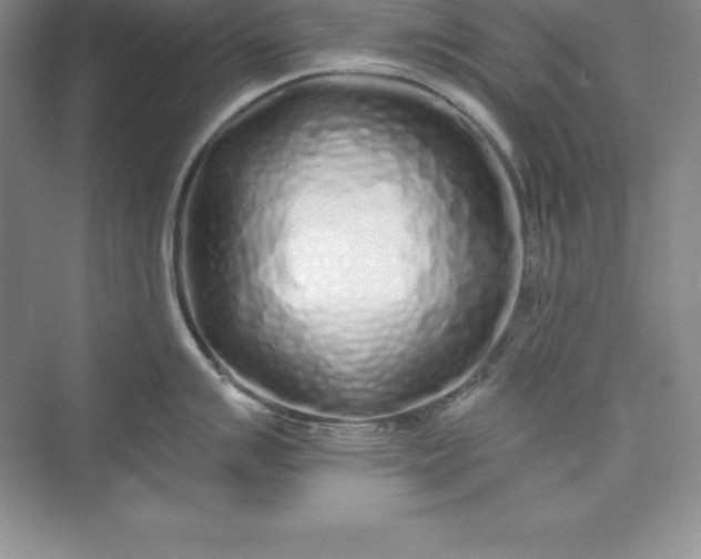 X0000075411007200609251039