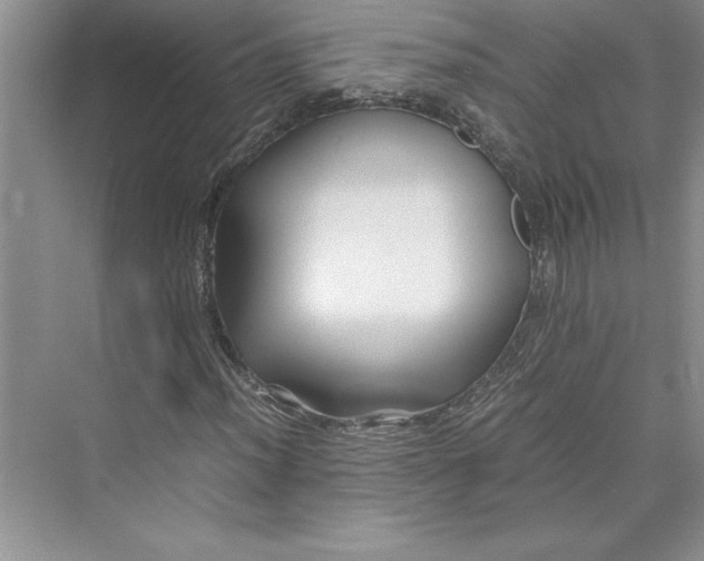 X0000075411012200609251039