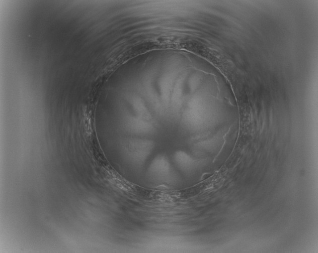 X0000075411013200609251039