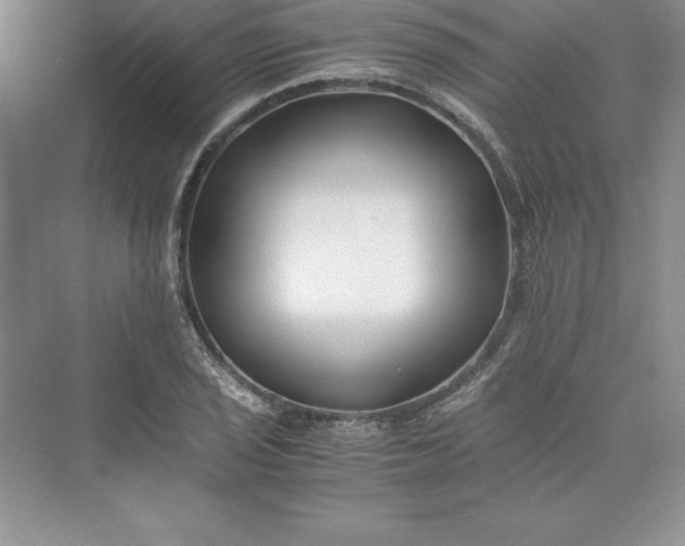 X0000075411029200609251039
