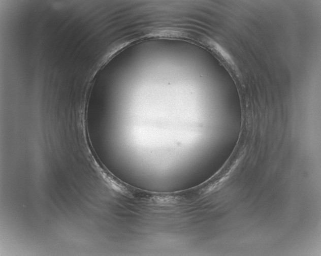 X0000075411041200609251039